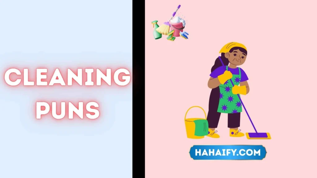 Cleaning Puns