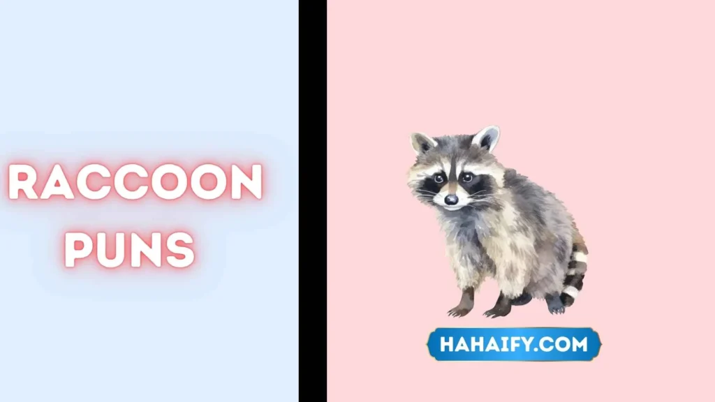 Raccoon Puns