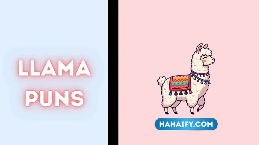 Llama puns