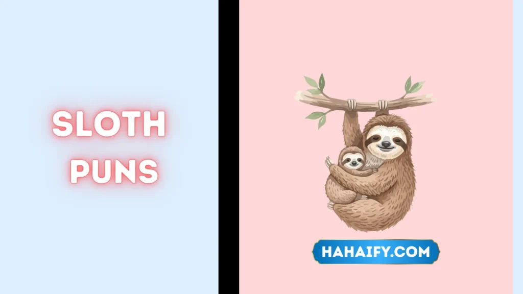 Sloth Puns
