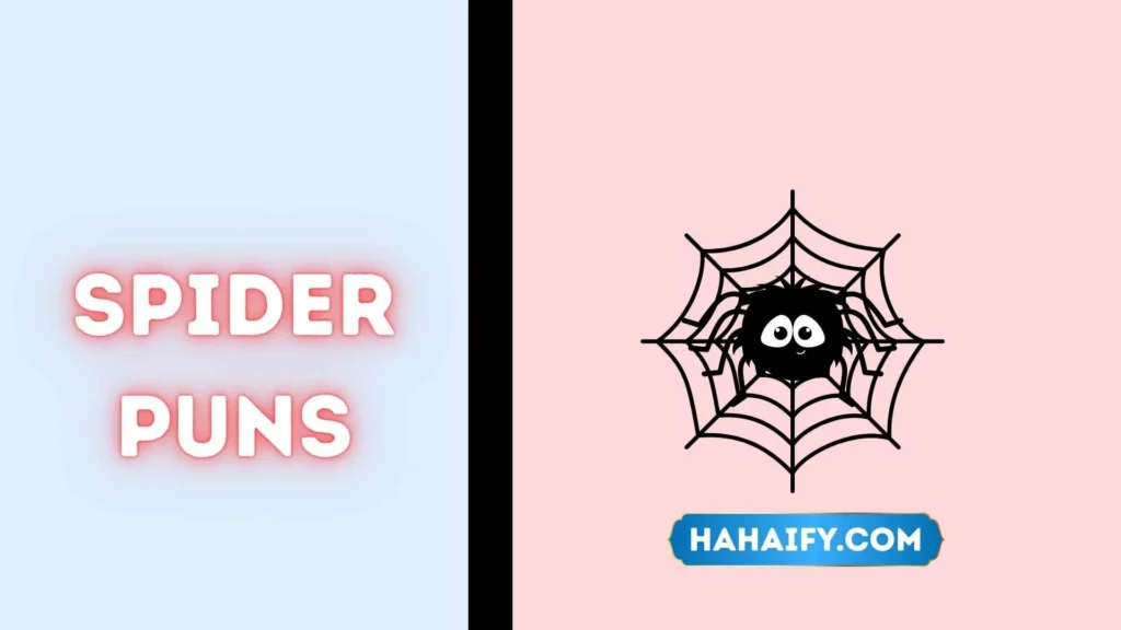 Spider Puns