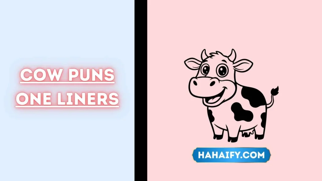 Cow Puns One Liners
