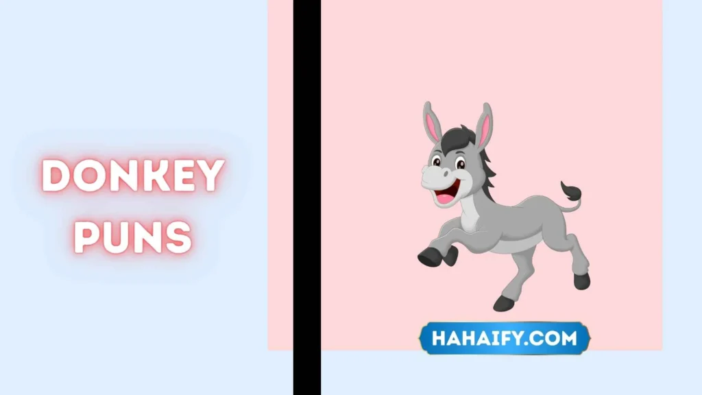 Donkey Puns