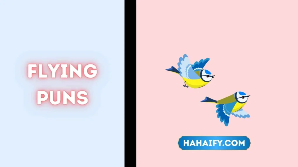 Flying Puns
