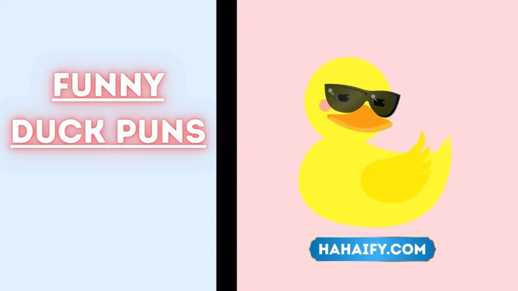 Funny Duck Puns