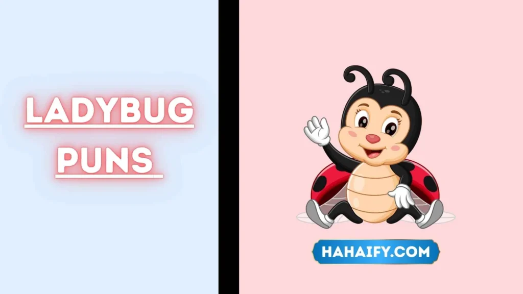 Ladybug Puns