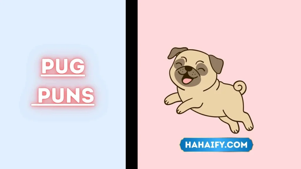 Pug Puns