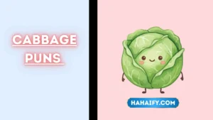 Cabbage Puns
