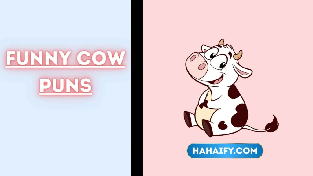 Funny Cow Puns