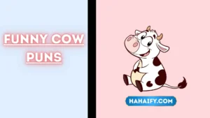 Funny Cow Puns