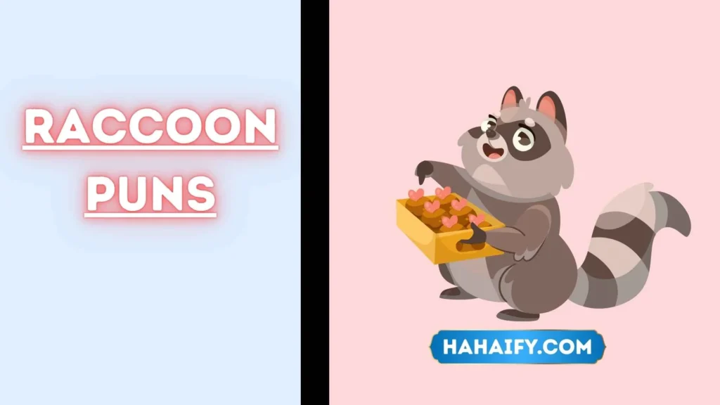 Raccoon Puns