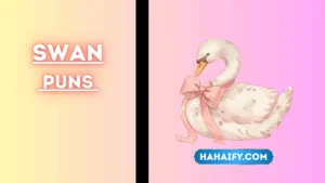 Swan Puns