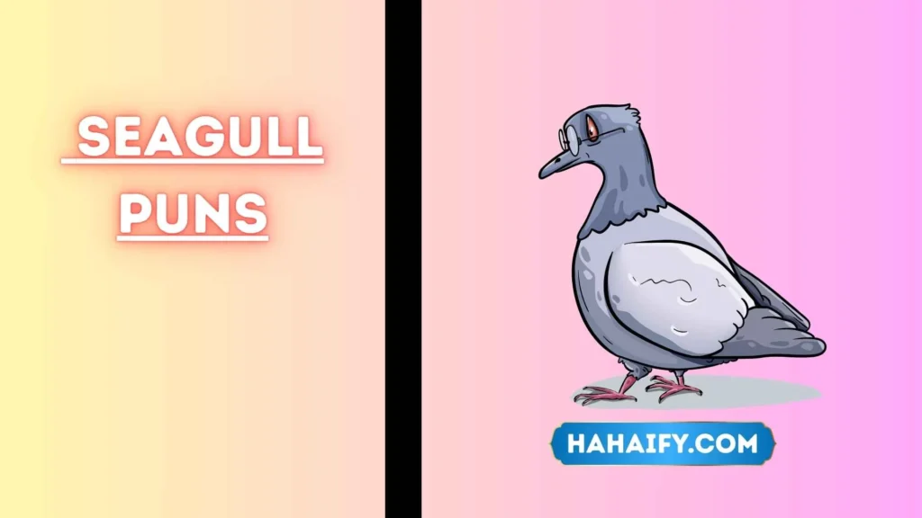 Seagull Puns