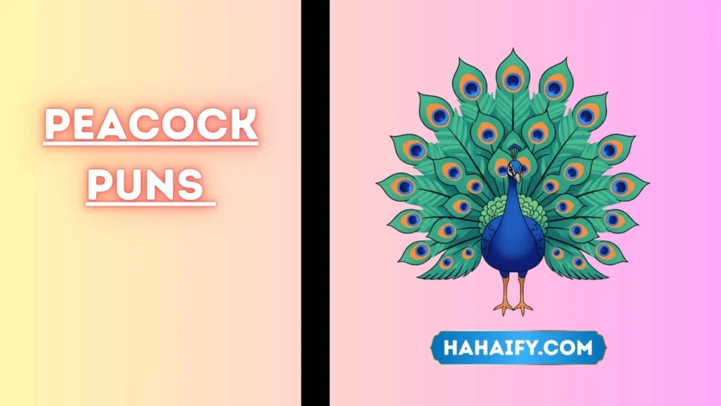 Peacock Puns