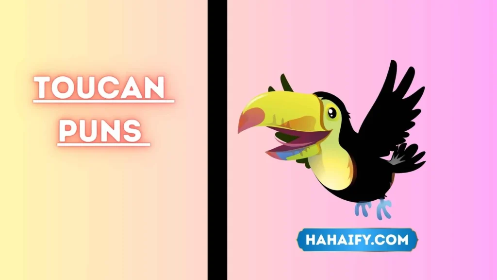 Toucan Puns