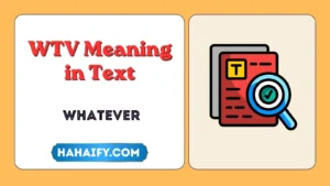 WTV Meaning in Text