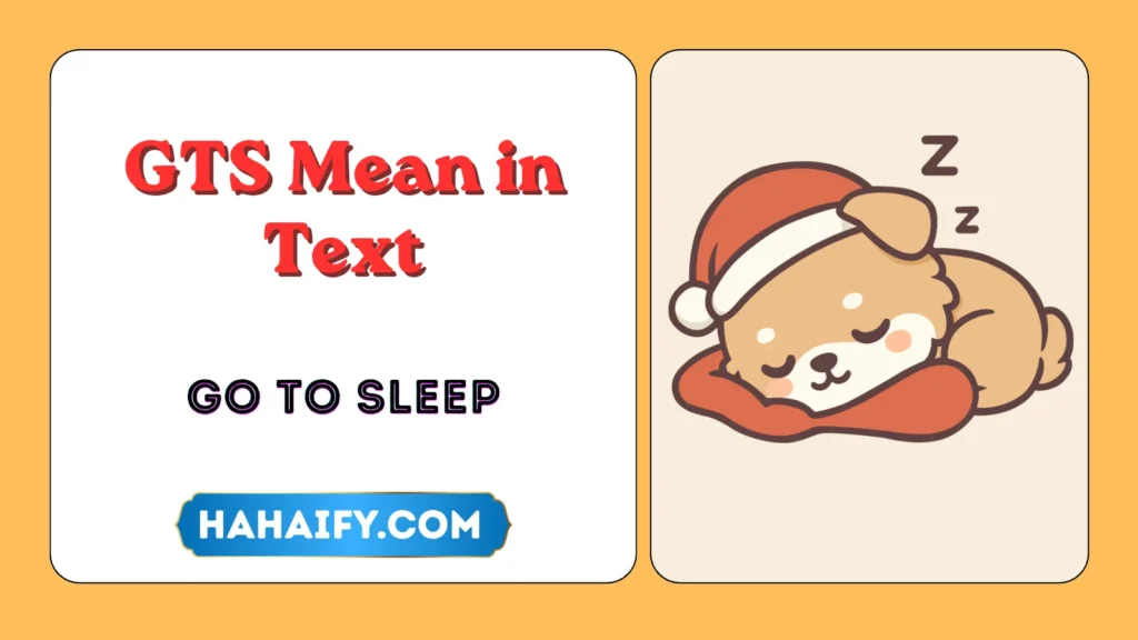 GTS Mean in Text